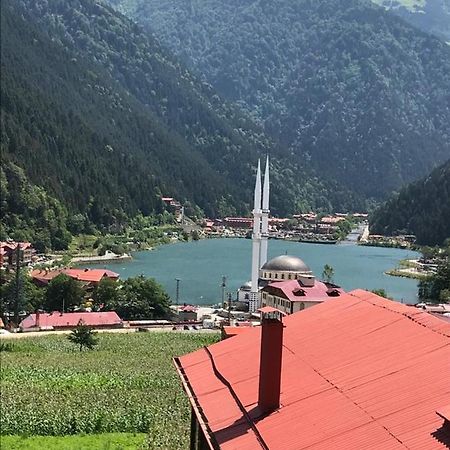 Karenes Kuzey Pansiyon Caykara Экстерьер фото