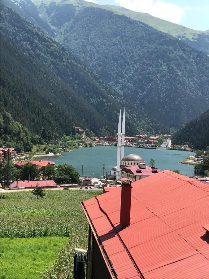 Karenes Kuzey Pansiyon Caykara Экстерьер фото
